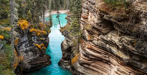 Trousse d'outils de communication sur les feux de forêt
